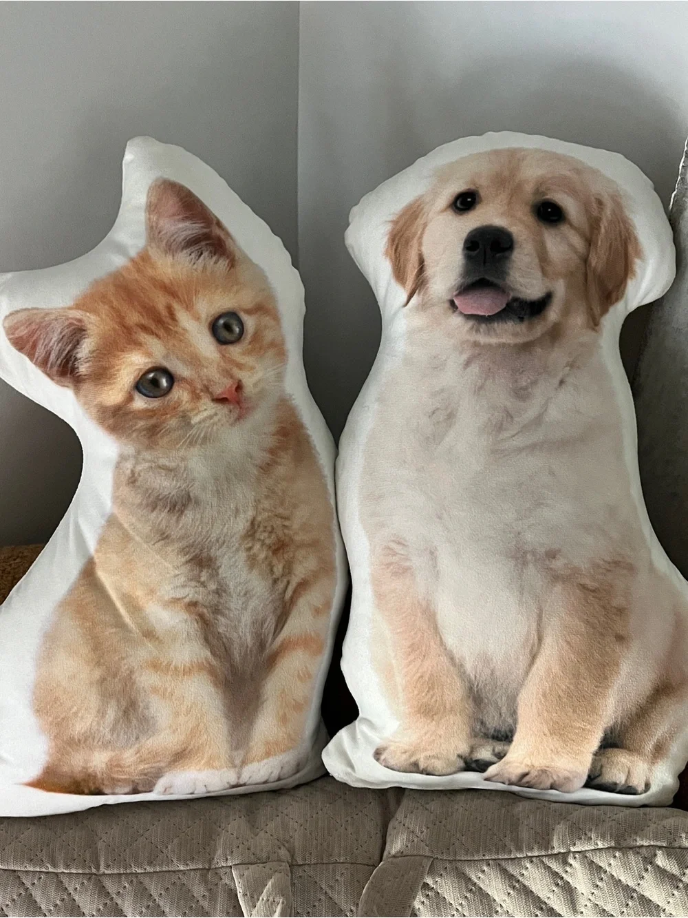Cat & Dog Plush Pillow Duo